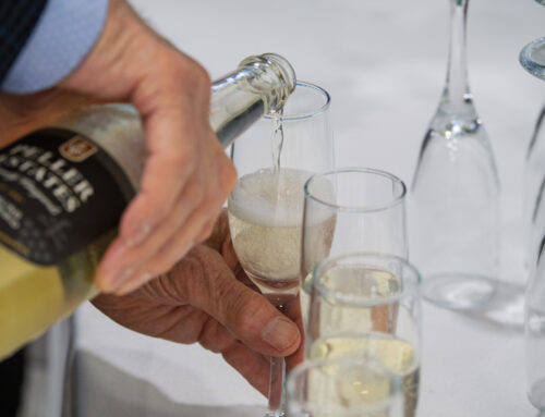 BBF Updates and Looking Ahead