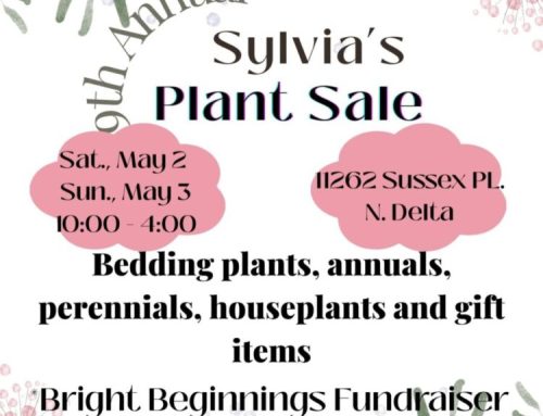 BBF’s Spring Update